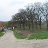 Aranykert liget